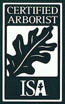 Certified Arborist